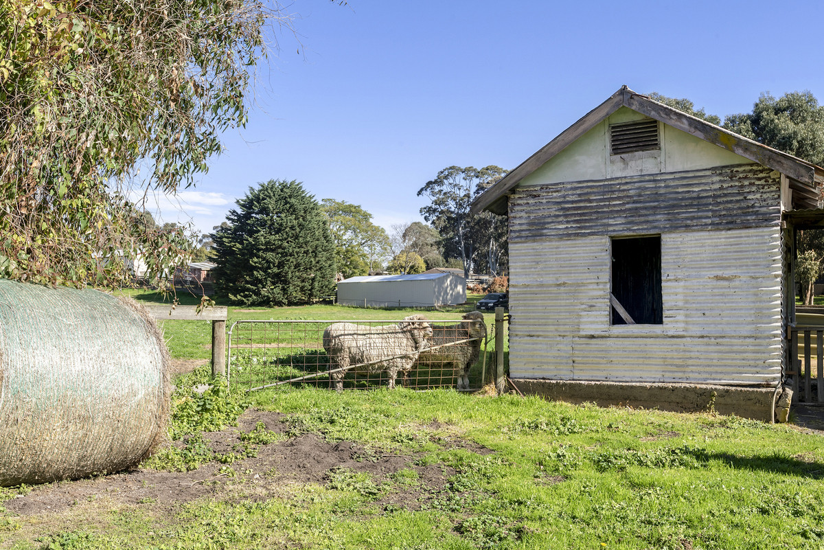 8-20 Ashworth Street, Drysdale VIC 3222, Drysdale - Thumbnail 3