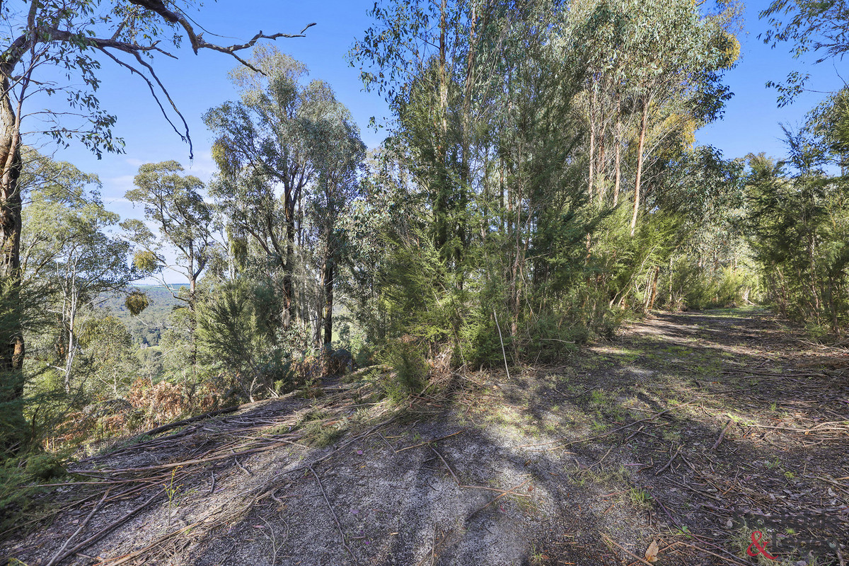 224 Ricardo Road, Mirboo North VIC 3871, Mirboo North - Thumbnail 2