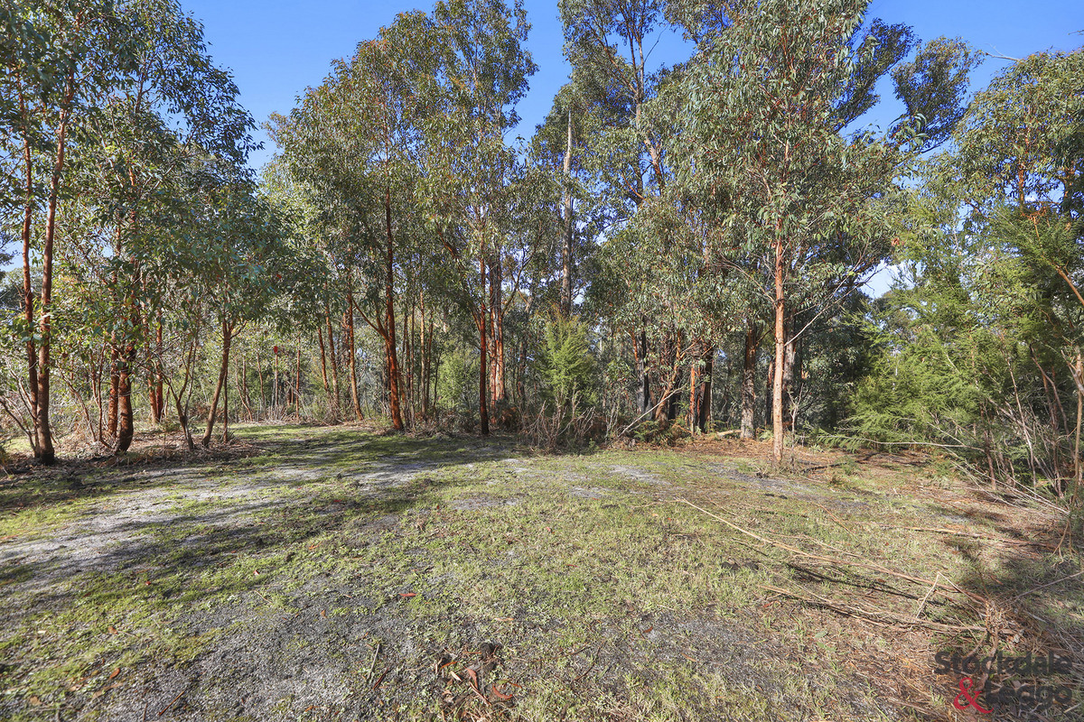 224 Ricardo Road, Mirboo North VIC 3871, Mirboo North - Thumbnail 3