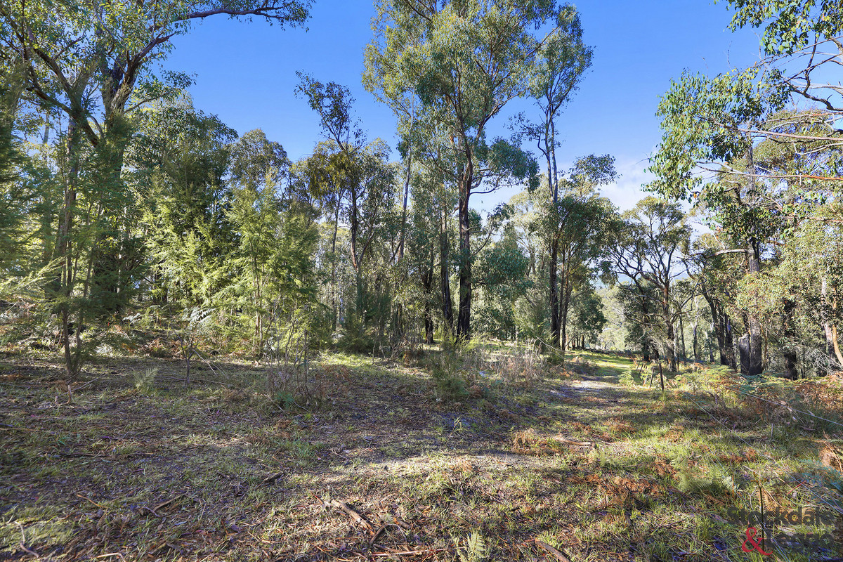 224 Ricardo Road, Mirboo North VIC 3871, Mirboo North - Thumbnail 4