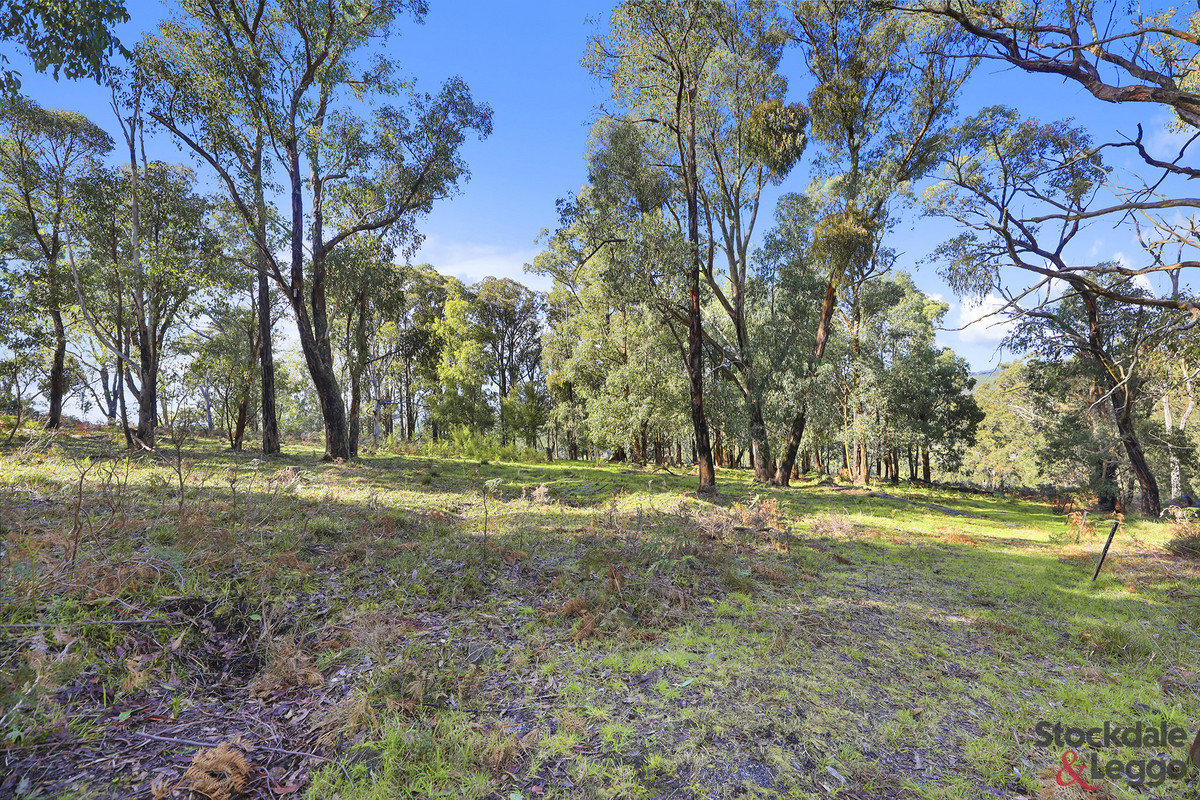 224 Ricardo Road, Mirboo North VIC 3871, Mirboo North - Thumbnail 5
