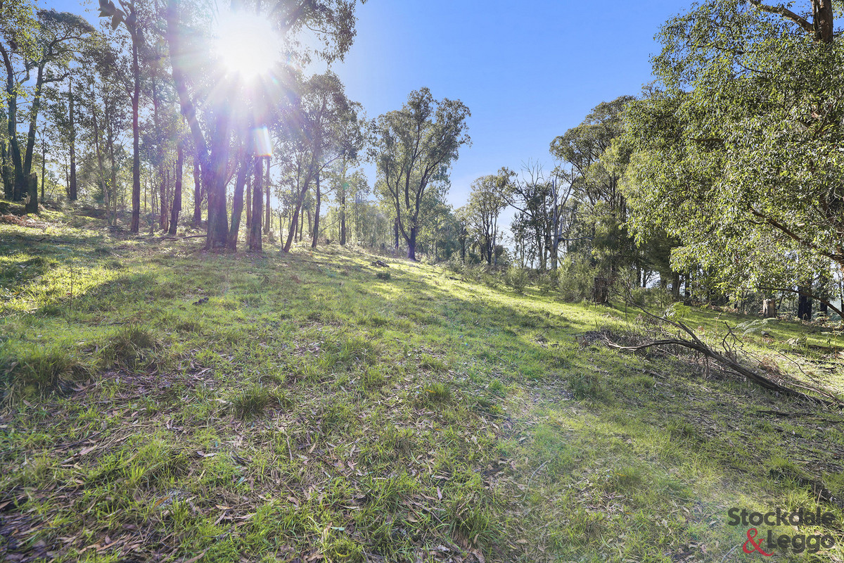 224 Ricardo Road, Mirboo North VIC 3871, Mirboo North - Thumbnail 6