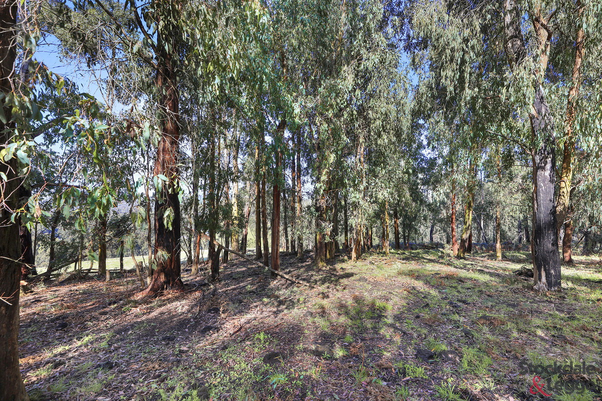 224 Ricardo Road, Mirboo North VIC 3871, Mirboo North - Thumbnail 7