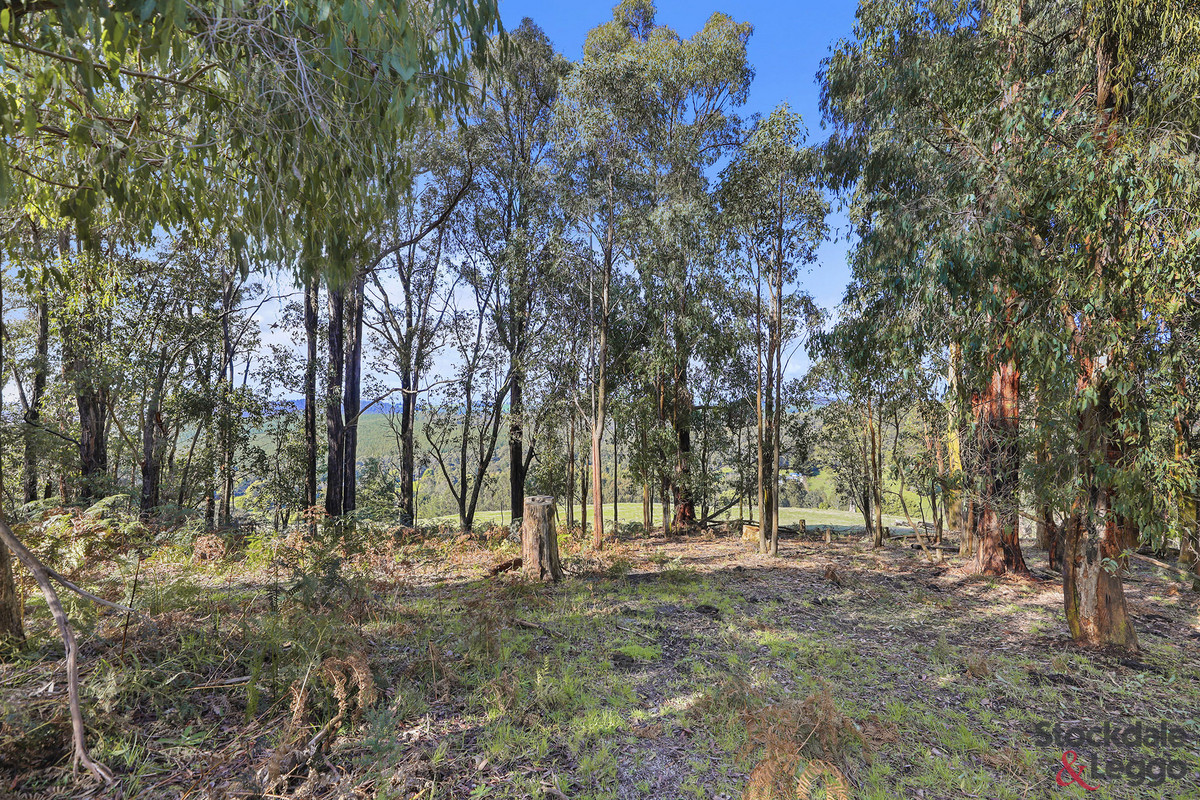 224 Ricardo Road, Mirboo North VIC 3871, Mirboo North - Thumbnail 8