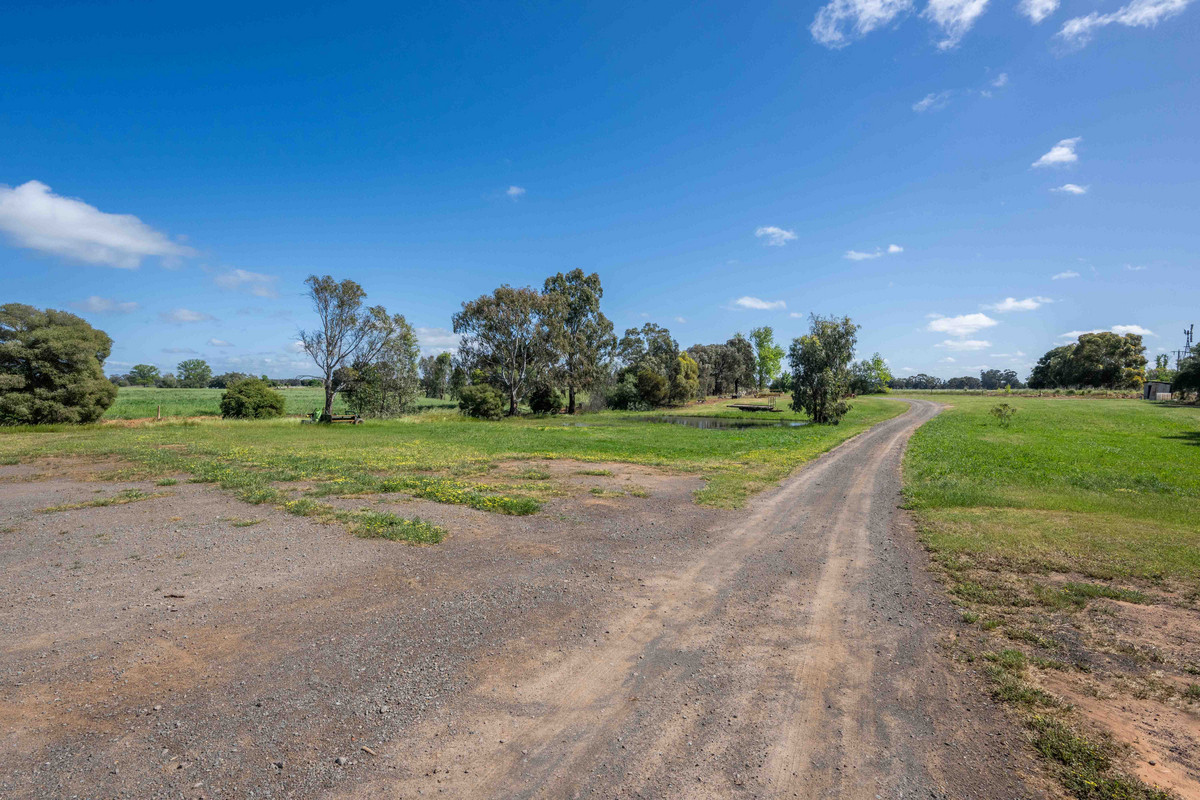 263 McPhersons Road, Mundoona VIC 3635, Mundoona - Thumbnail 6