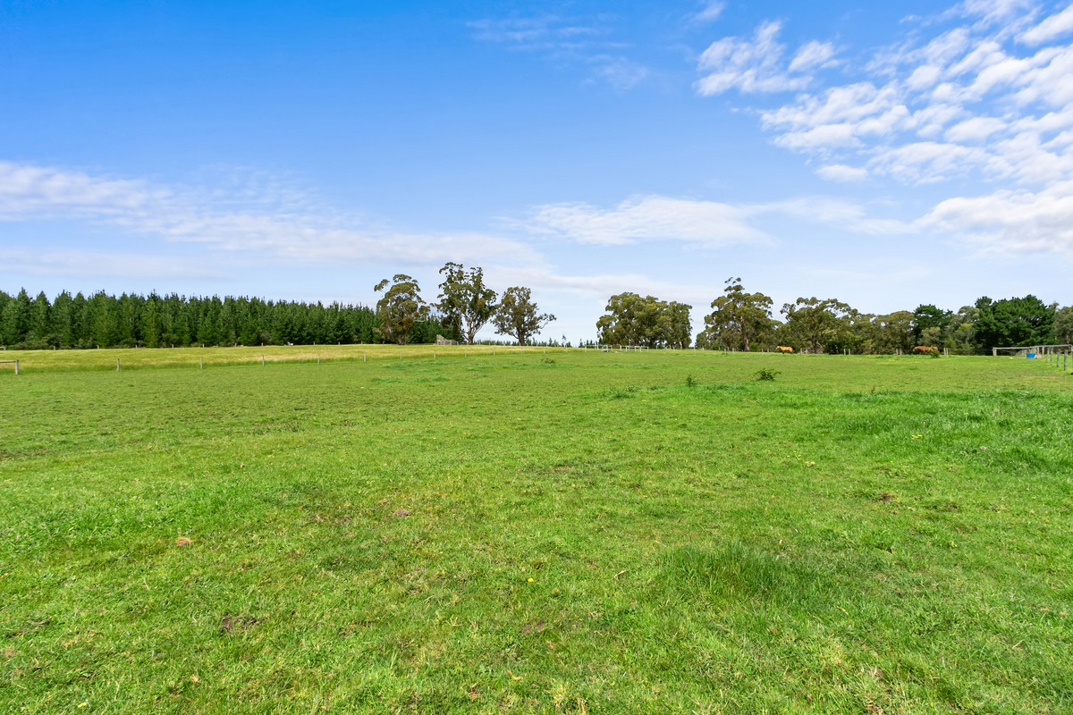 7 Theresa Road, Hazelwood North VIC 3840, Hazelwood North - Thumbnail 2
