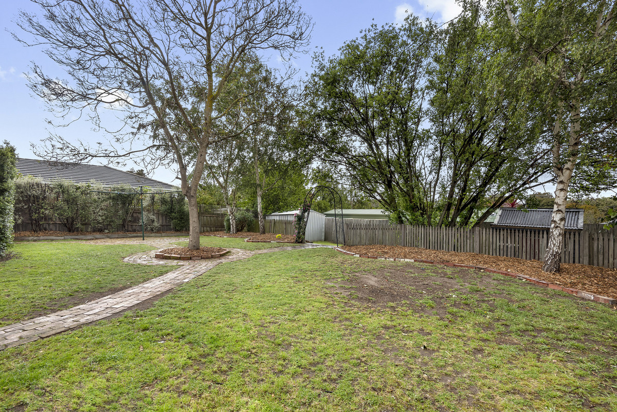 3 Harold Court, DRYSDALE VIC 3222, Drysdale - Thumbnail 7