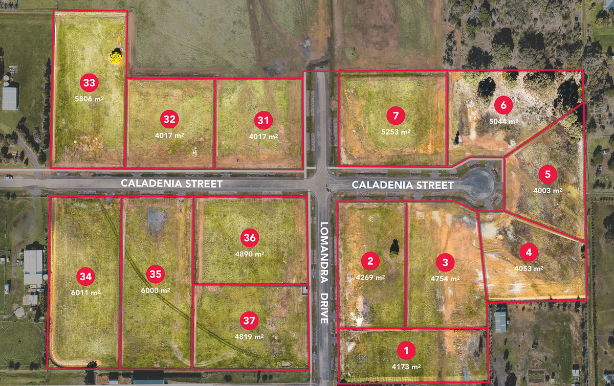 92 Lomandra Drive, Teesdale VIC 3328, Teesdale - Thumbnail 2