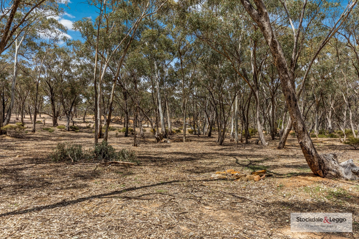 82 Old Boort Road, Wedderburn VIC 3518, Wedderburn - Thumbnail 8