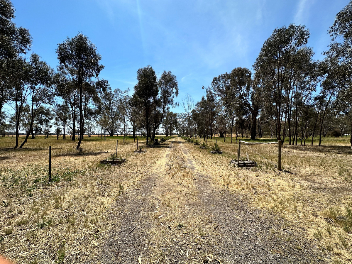 1465 Arcadia Two Chain Road, MIEPOLL VIC 3666, Miepoll - Thumbnail 8