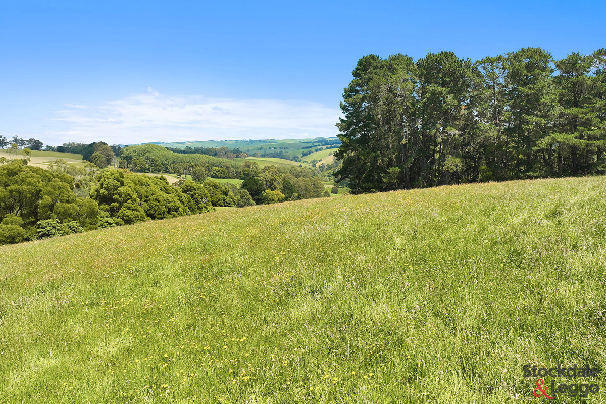 791 Clear Creek Road, Mirboo VIC 3871, Mirboo - Thumbnail 2