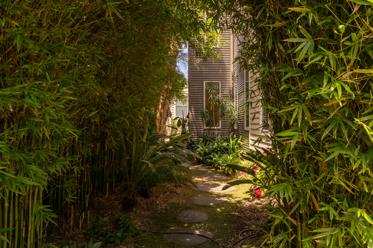 12 Currawong Close, Cowes VIC 3922, Cowes - Thumbnail 6