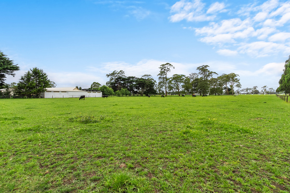 85 Littles Lane, Tyers VIC 3844, Tyers - Thumbnail 8