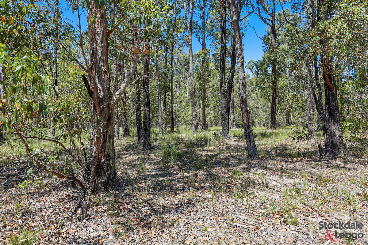 70 Todds Road, Boolarra VIC 3870, Boolarra - Thumbnail 8