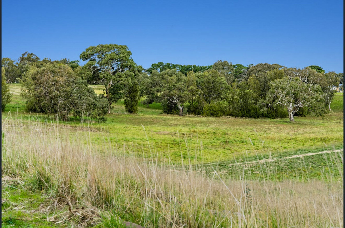 15 Tree Violet Court, Teesdale VIC 3328, Teesdale - Thumbnail 8