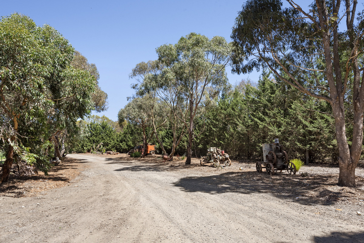 90-96 Wisbey Court, DRYSDALE VIC 3222, Drysdale - Thumbnail 4
