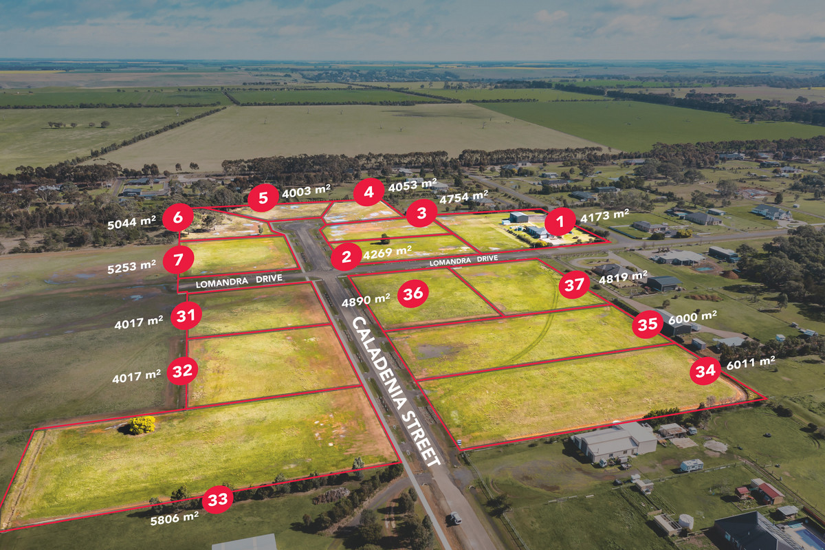 41 Caladenia Street, Teesdale VIC 3328, Teesdale - Thumbnail 3