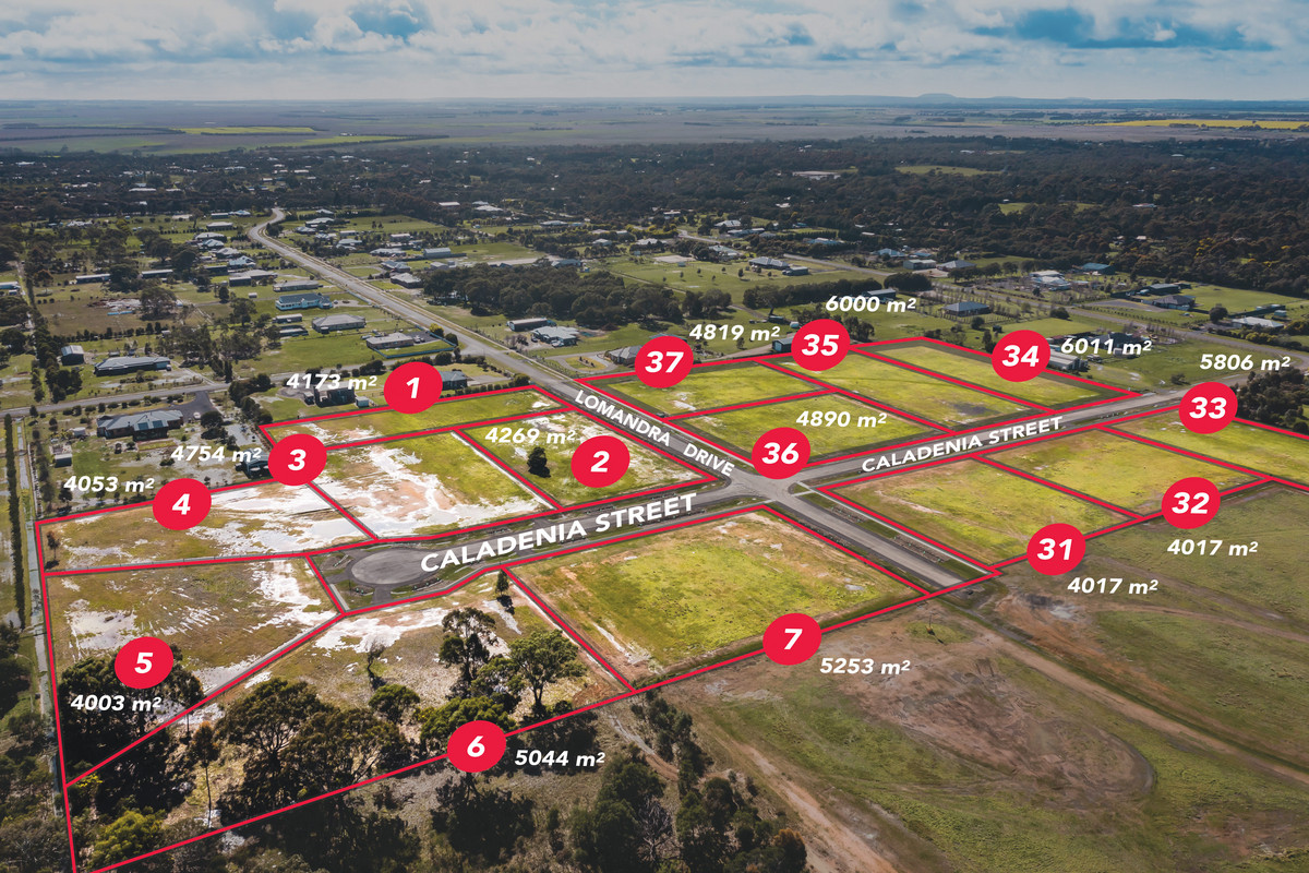 41 Caladenia Street, Teesdale VIC 3328, Teesdale - Thumbnail 5