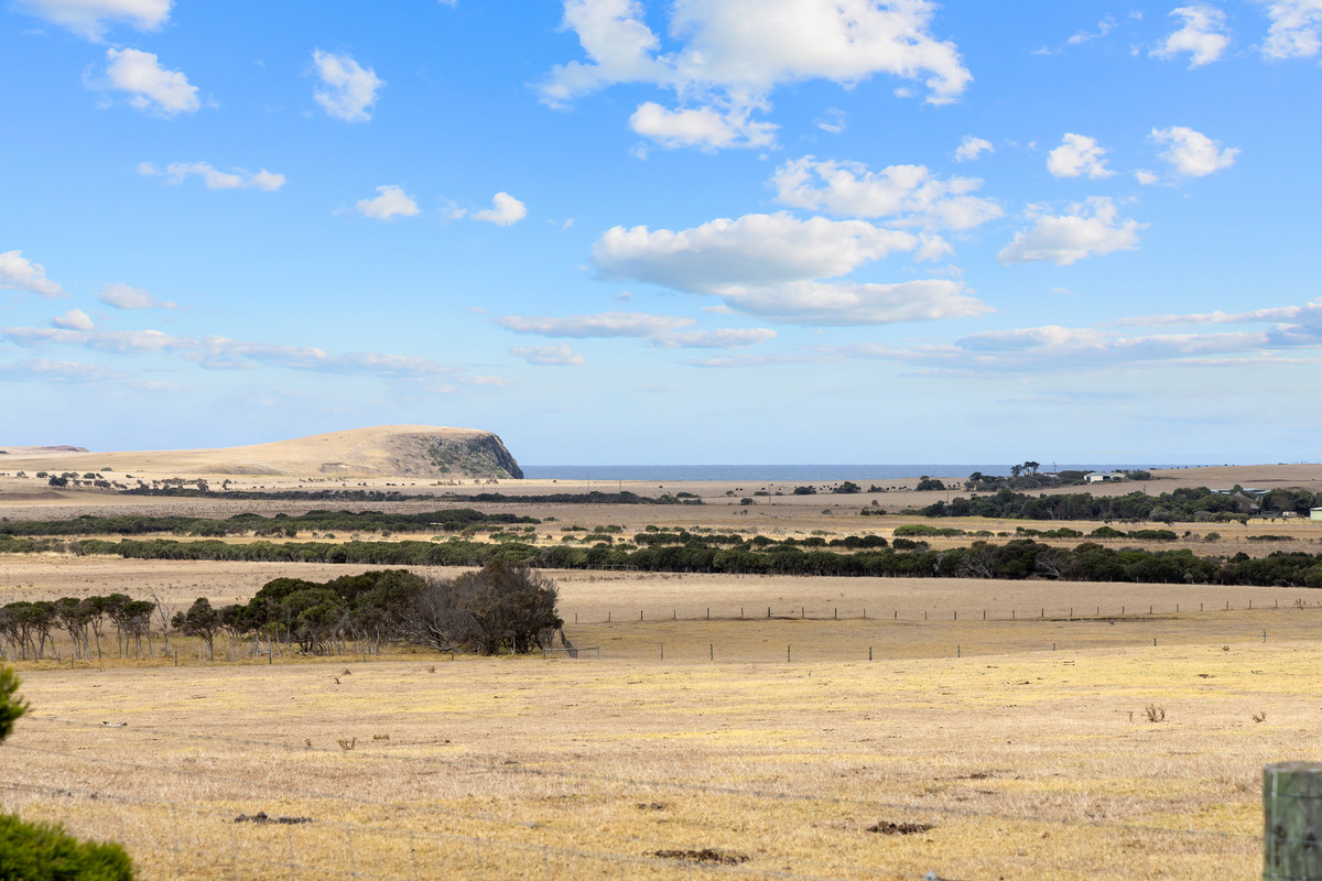865 Ventnor Road, Ventnor VIC 3922, Ventnor - Thumbnail 3