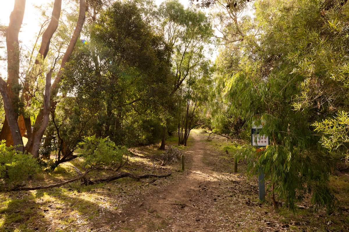 14 Shearwater Drive, Silverleaves VIC 3922, Silverleaves - Thumbnail 7