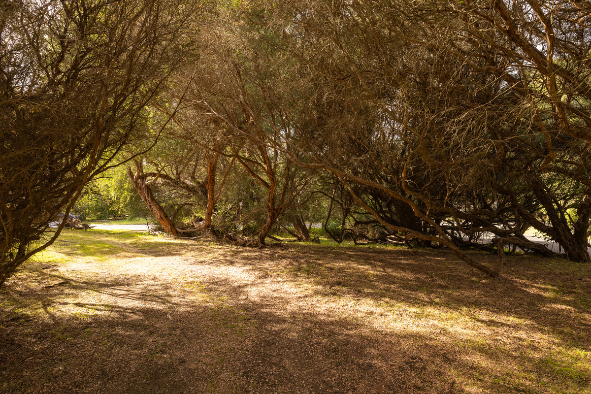 14 Shearwater Drive, Silverleaves VIC 3922 Stockdale & Leggo