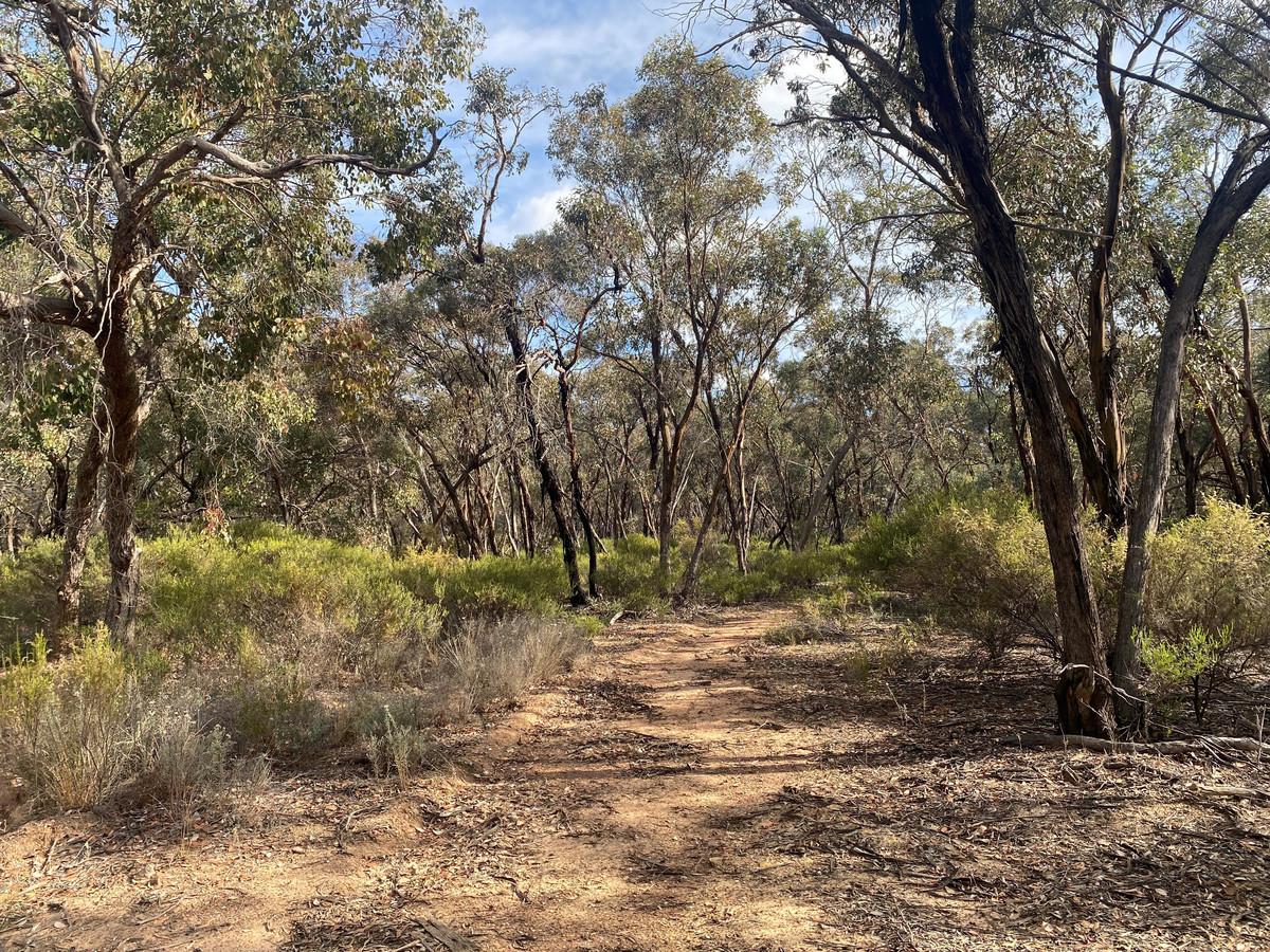 Lot CA / 91B Woolshed Flat Road, Wedderburn VIC 3518, Wedderburn - Thumbnail 2