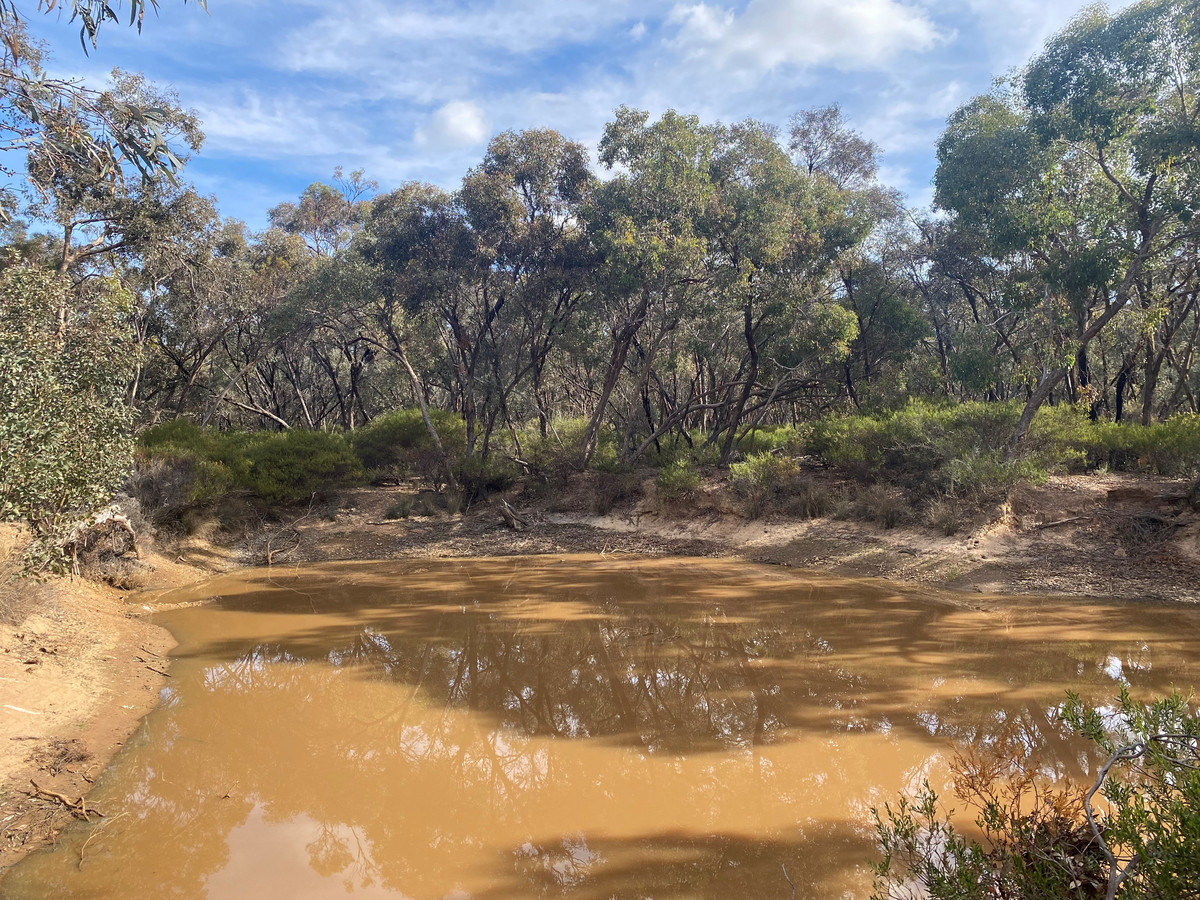 Lot CA / 91B Woolshed Flat Road, Wedderburn VIC 3518, Wedderburn - Thumbnail 5