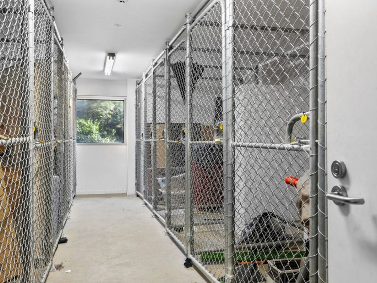 6 / 4 Ficinia Mews, Highton VIC 3216, Highton - Thumbnail 7