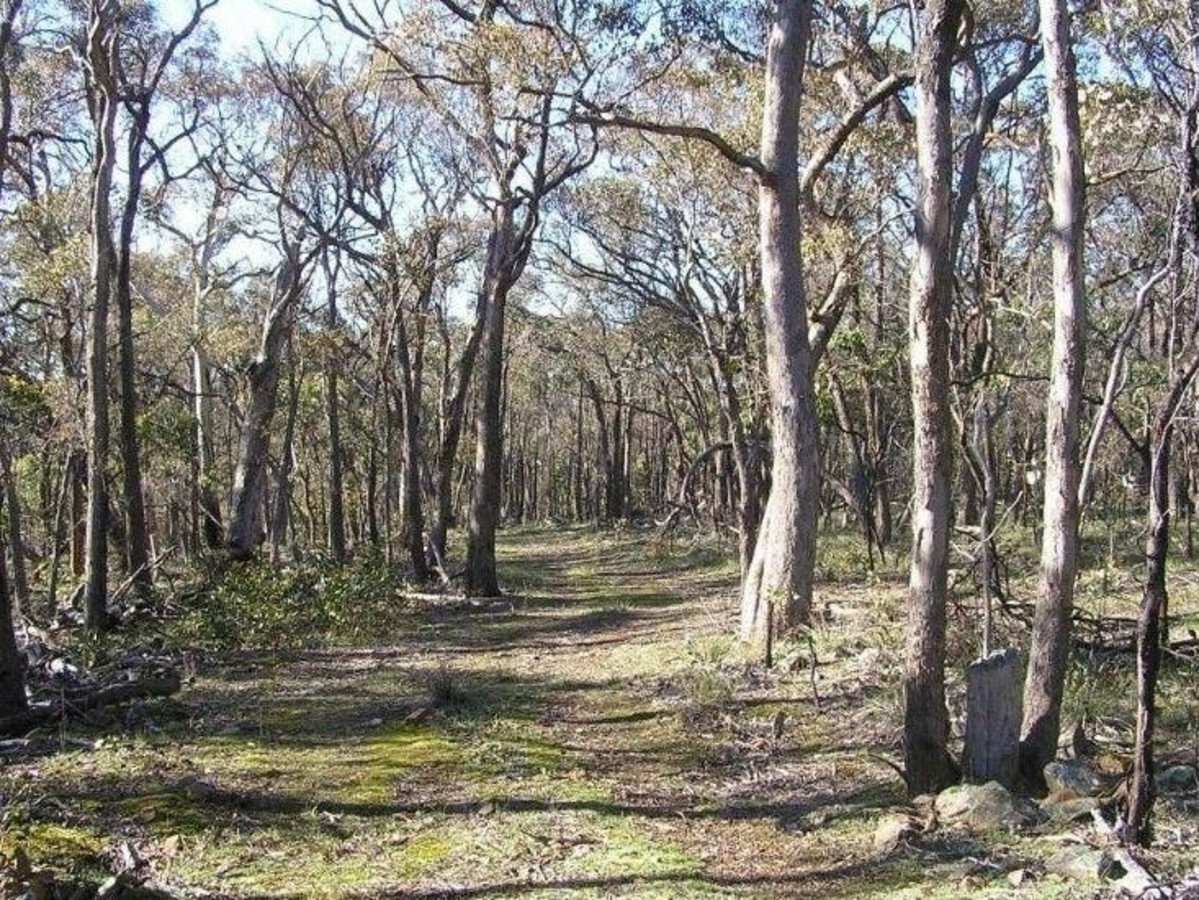 85 Weir Road, SHE OAKS VIC 3331, She Oaks - Thumbnail 2