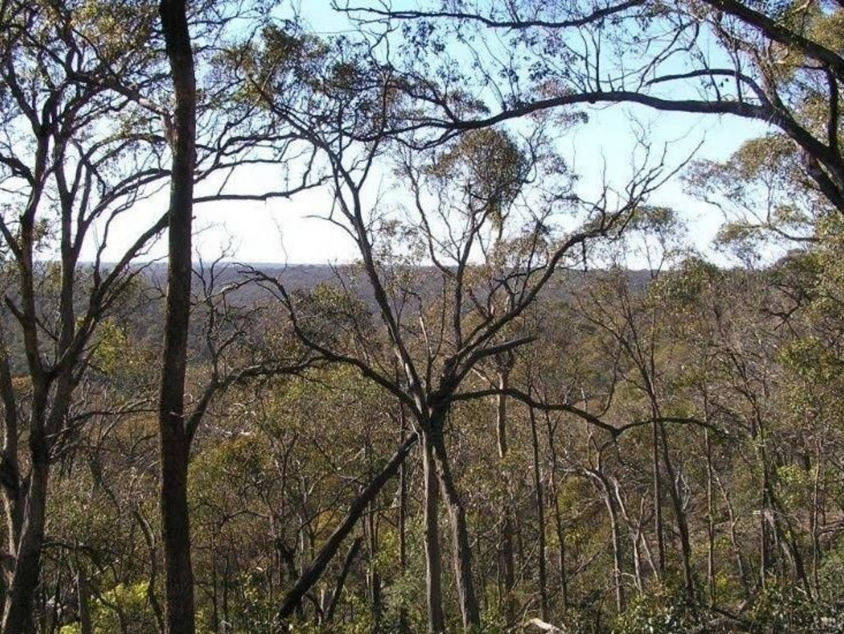 85 Weir Road, SHE OAKS VIC 3331, She Oaks - Thumbnail 4