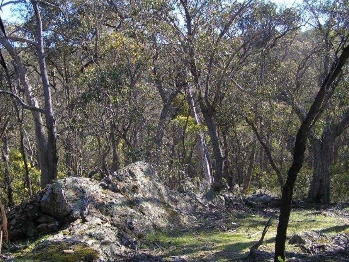 85 Weir Road, SHE OAKS VIC 3331, She Oaks - Thumbnail 5