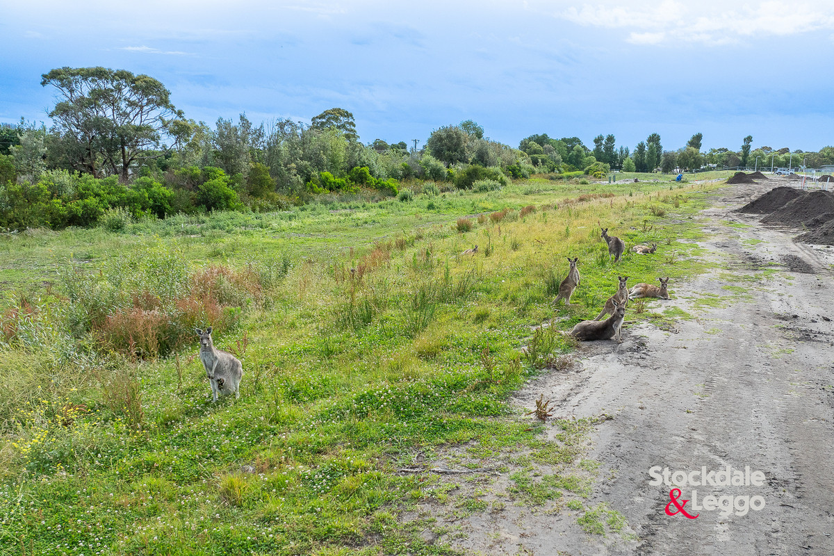 44 Lomandra Drive, Inverloch VIC 3996, Inverloch - Thumbnail 7