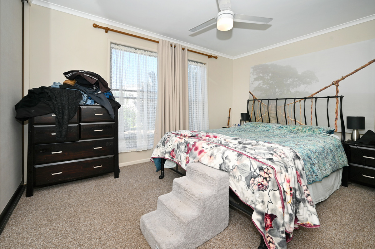 17 Murrindi Street, Minyama QLD 4575, Minyama - Thumbnail 3