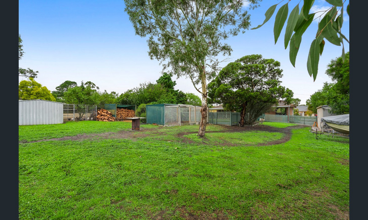 14 Victor Street, BANNOCKBURN VIC 3331, Bannockburn - Thumbnail 6