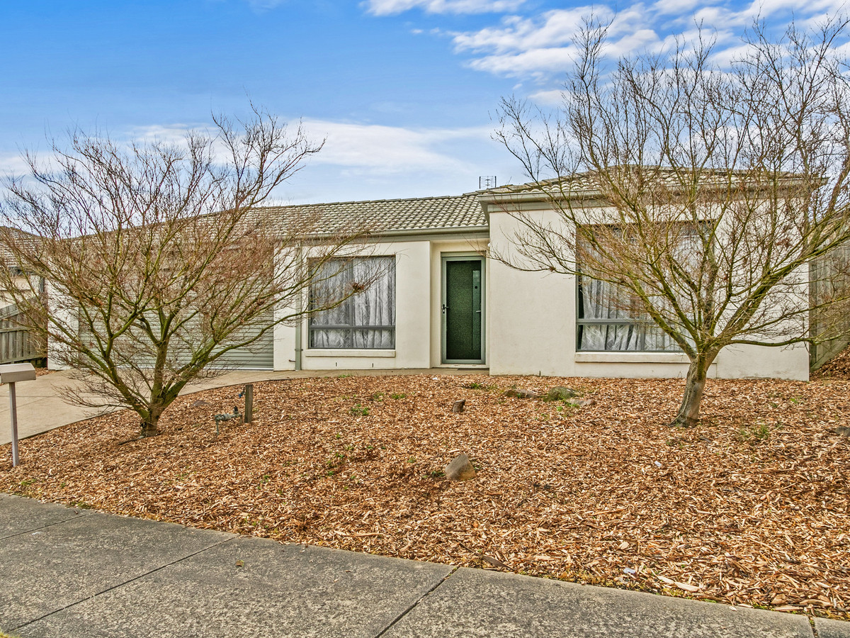 18 College Avenue, Traralgon VIC 3844, Traralgon - Thumbnail 2