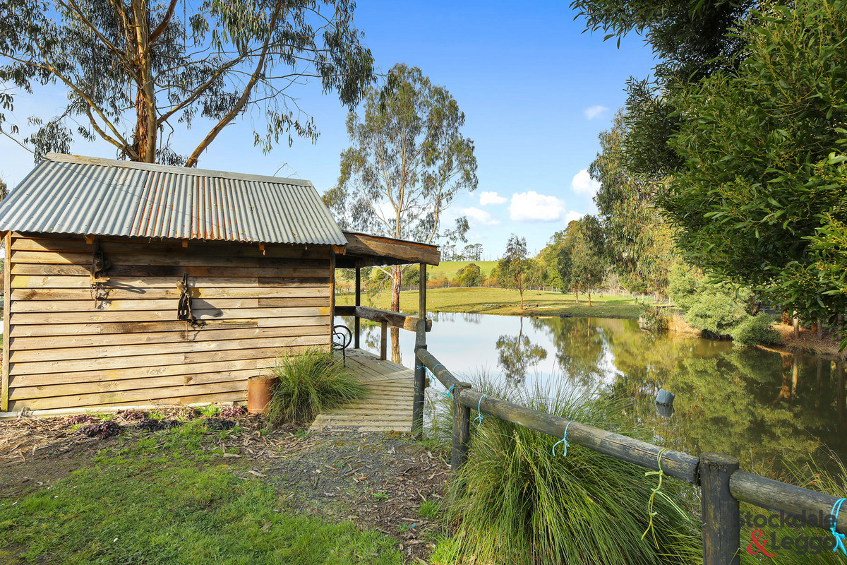 45 Pincinis Lane, Mirboo North VIC 3871, Mirboo North - Thumbnail 6