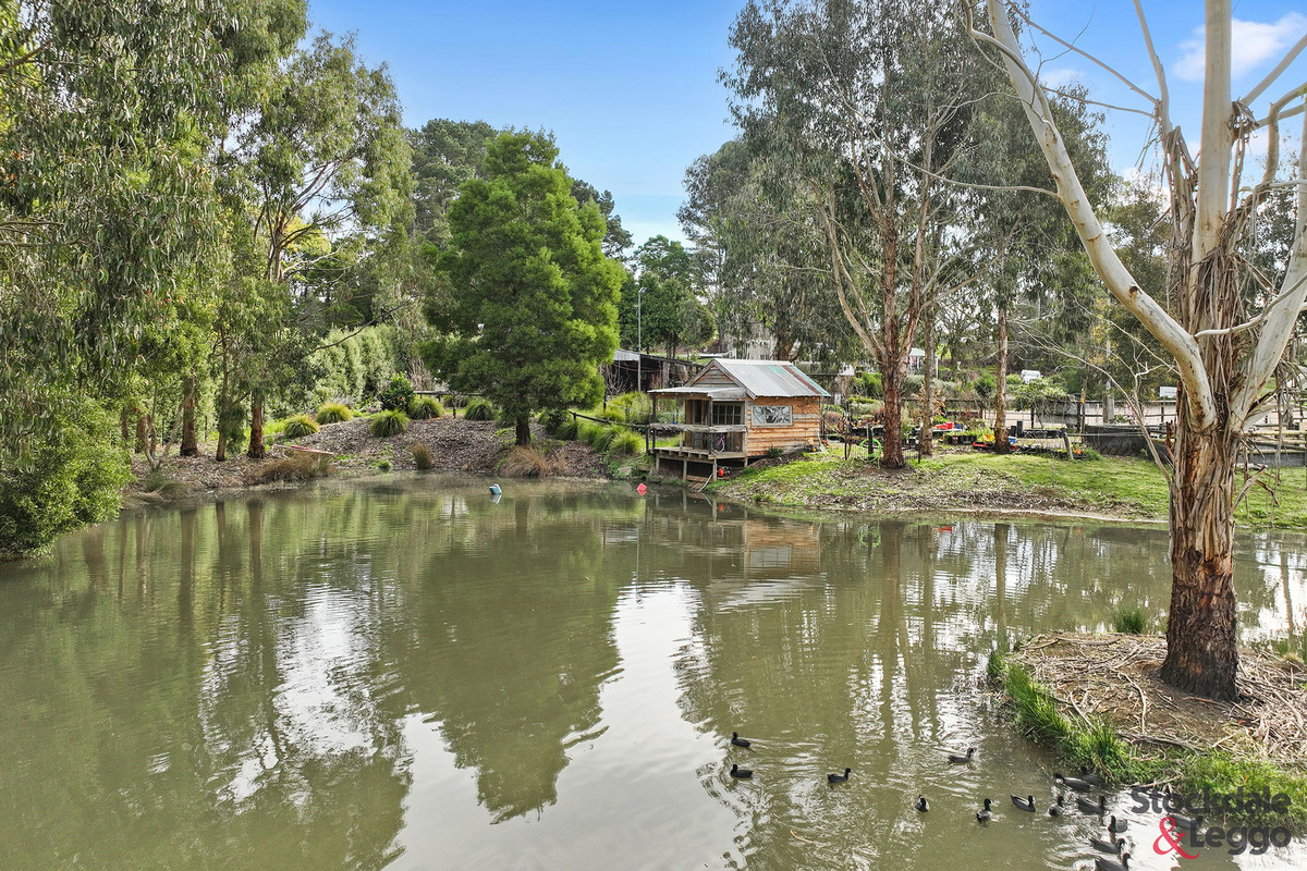 45 Pincinis Lane, Mirboo North VIC 3871, Mirboo North - Thumbnail 5
