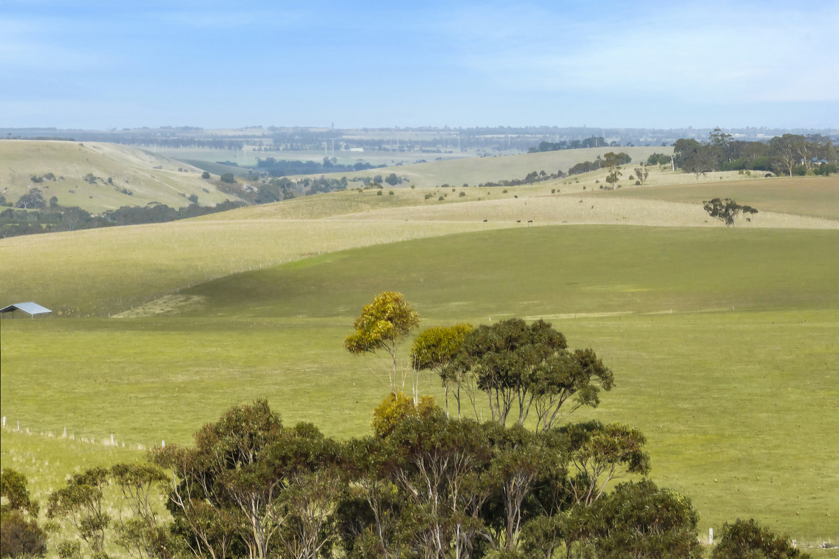 1711 Steiglitz Road, Maude VIC 3331, Maude - Thumbnail 5