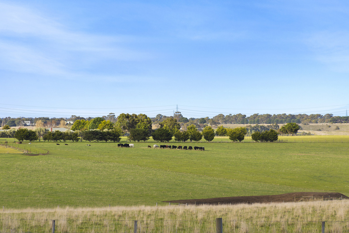 1711 Steiglitz Road, Maude VIC 3331, Maude - Thumbnail 6