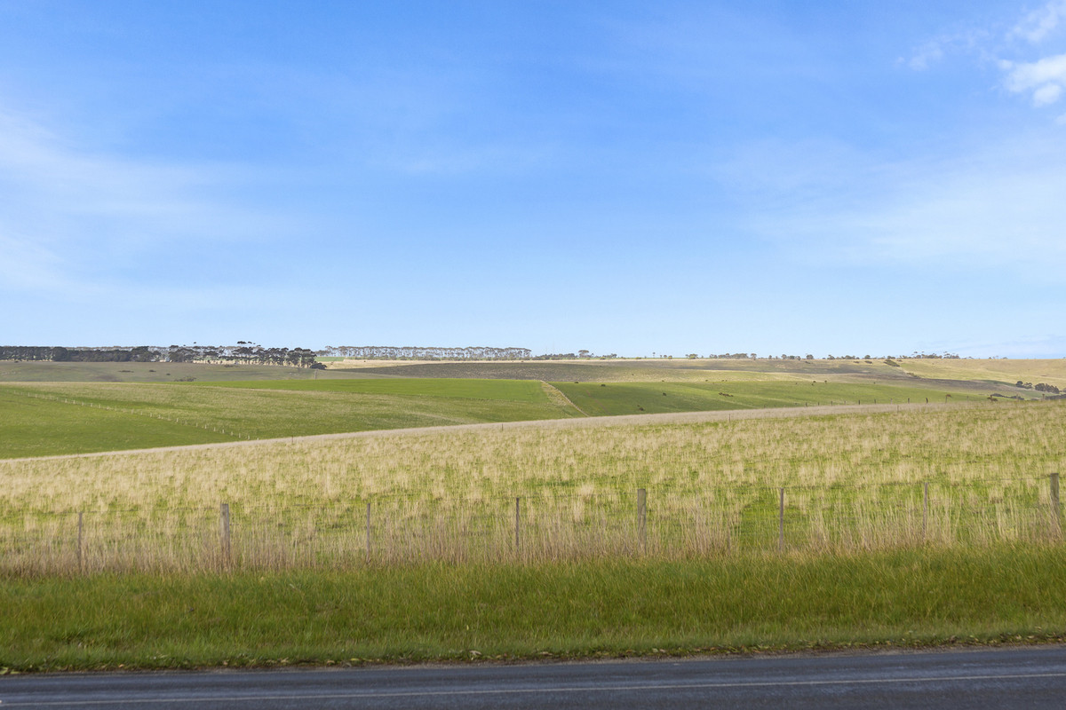 1711 Steiglitz Road, Maude VIC 3331, Maude - Thumbnail 8