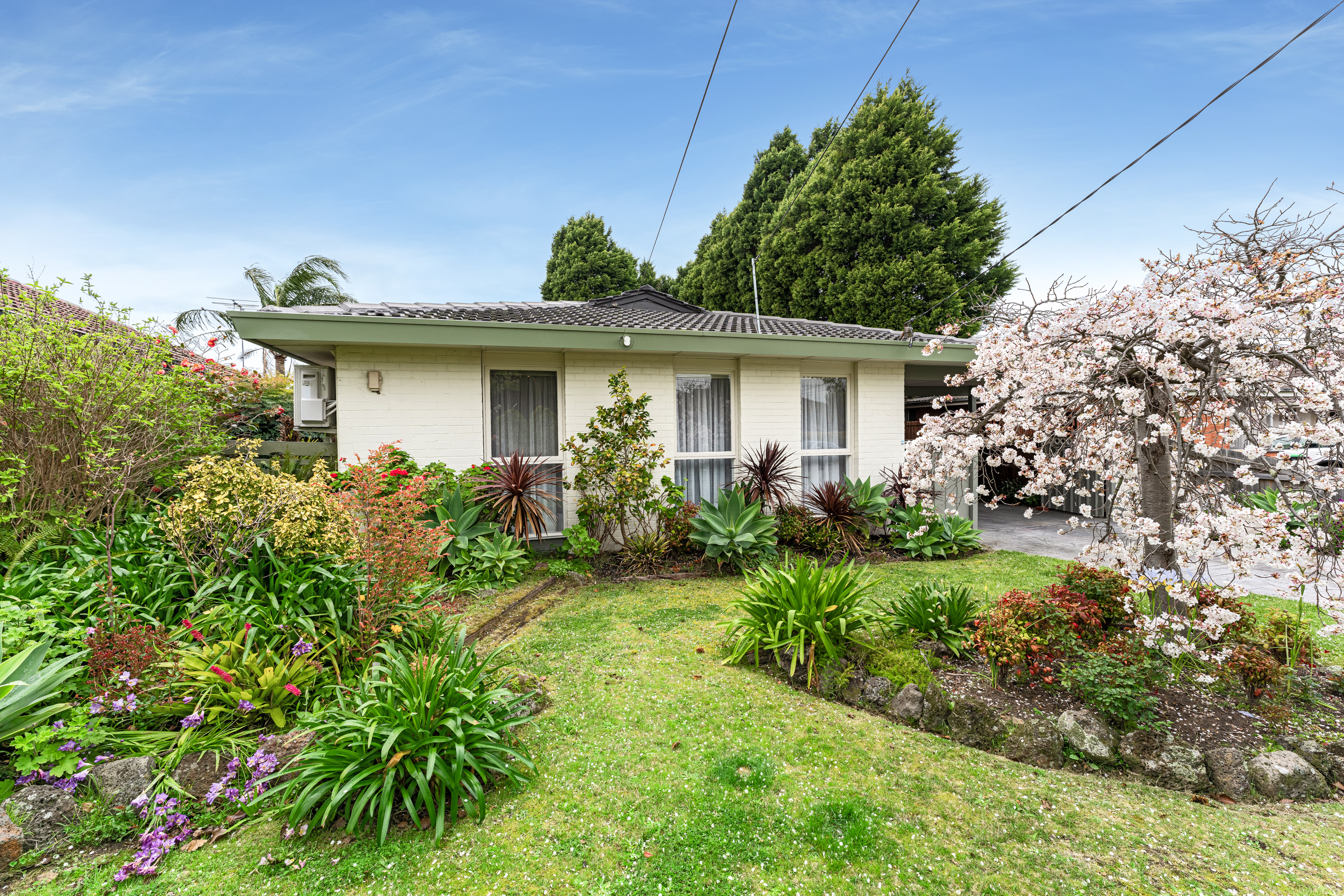 29 Holly Ave, Dandenong North VIC, Dandenong North - Thumbnail 4