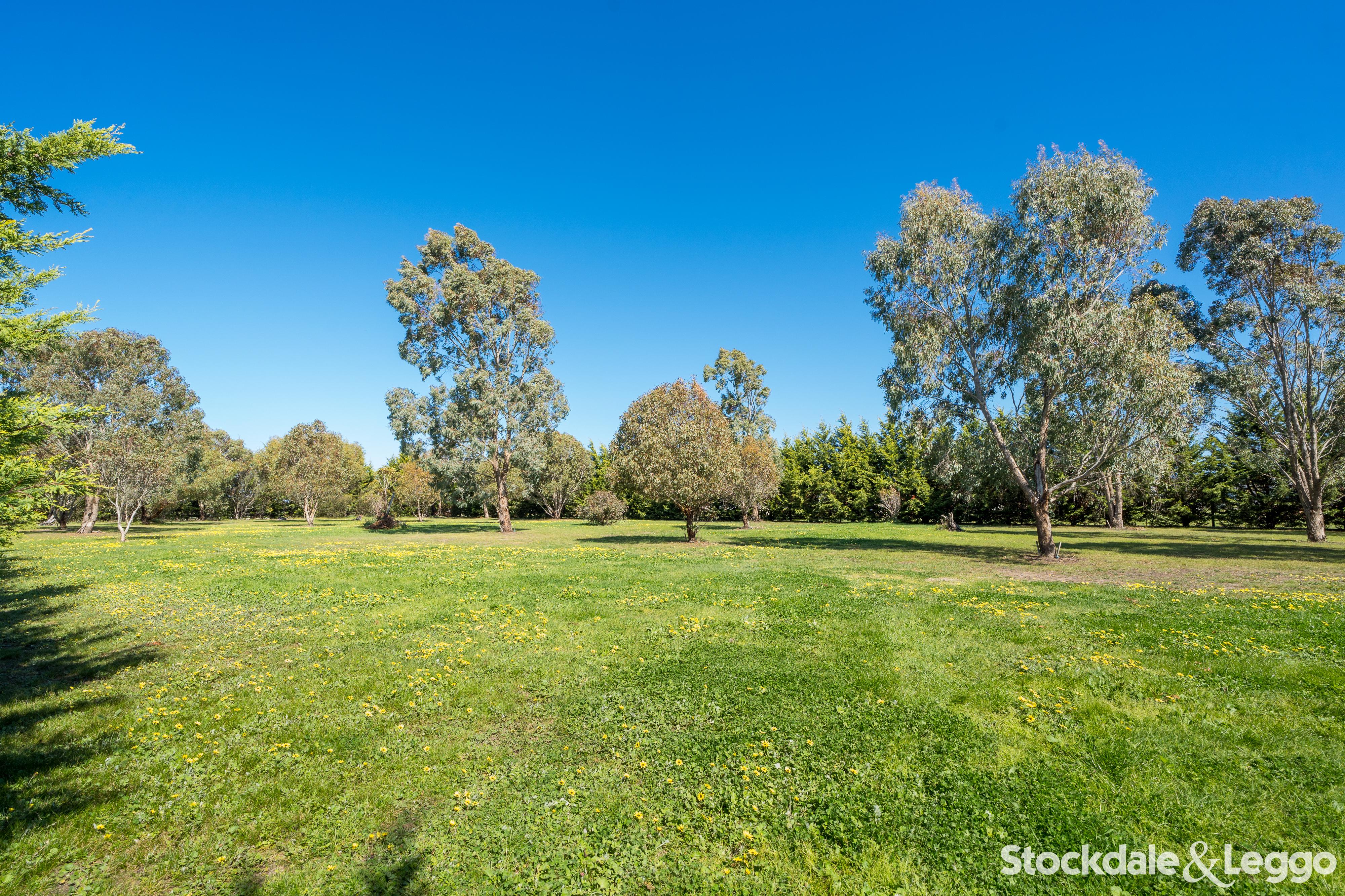 5 Rangeview Close, Mickleham VIC, Mickleham - Thumbnail 5