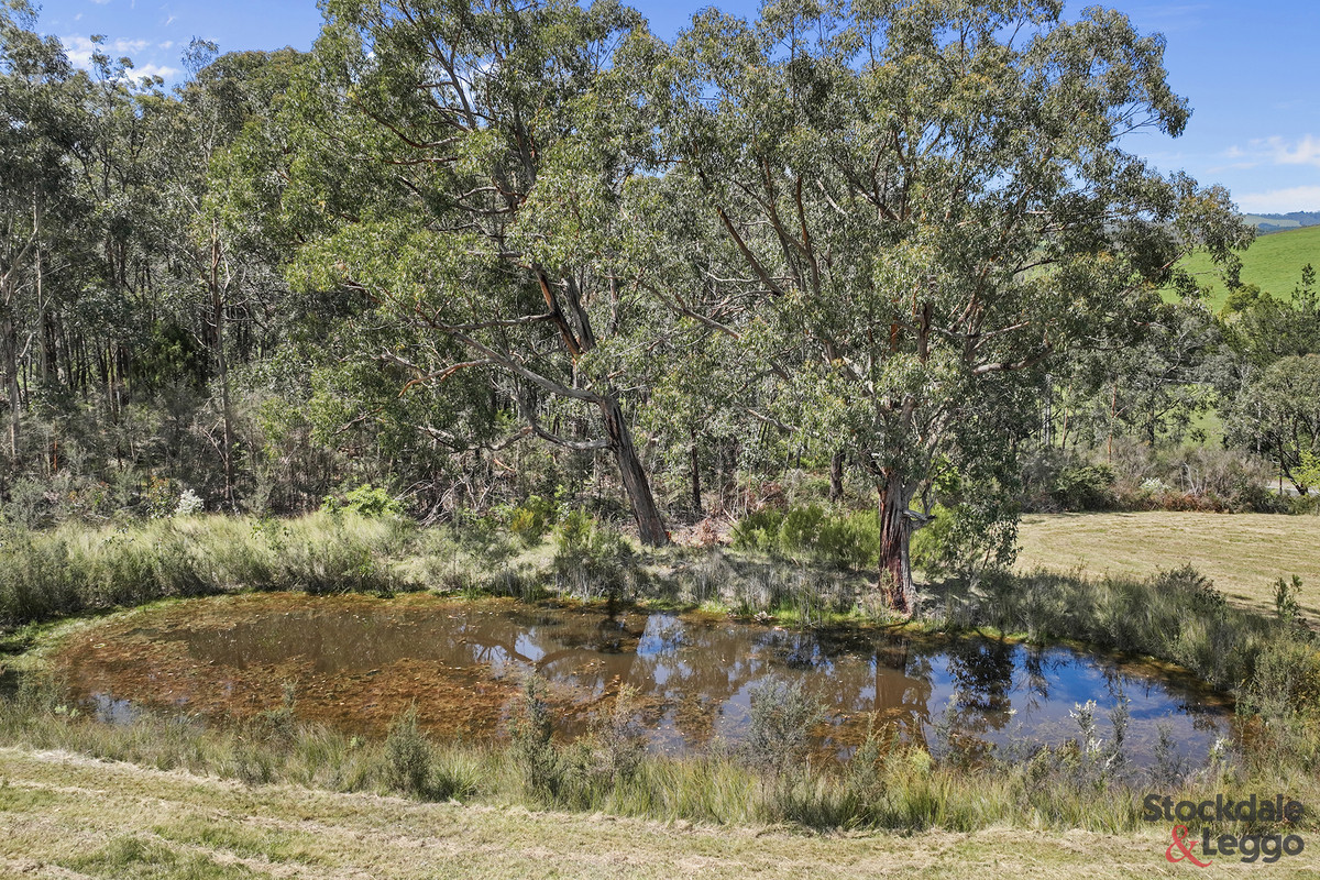 45 Schiebels Road, Boolarra VIC 3870, Boolarra - Thumbnail 8