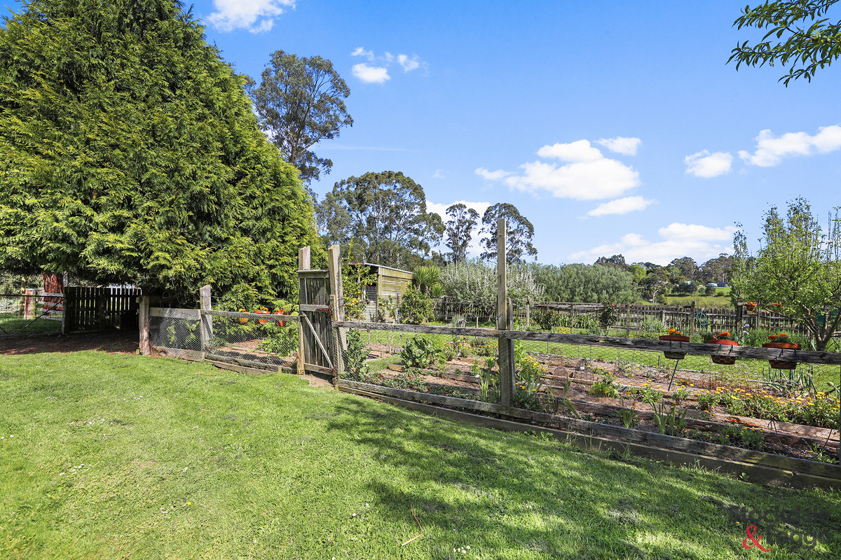 50 Clear Creek Road, Mirboo VIC 3871, Mirboo - Thumbnail 6