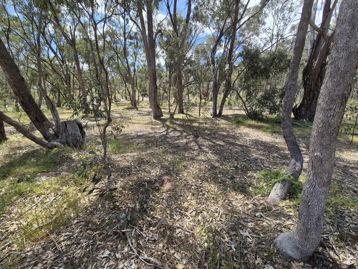 Lot 1 / 23 Monash Street, Newstead VIC 3462, Newstead - Thumbnail 5