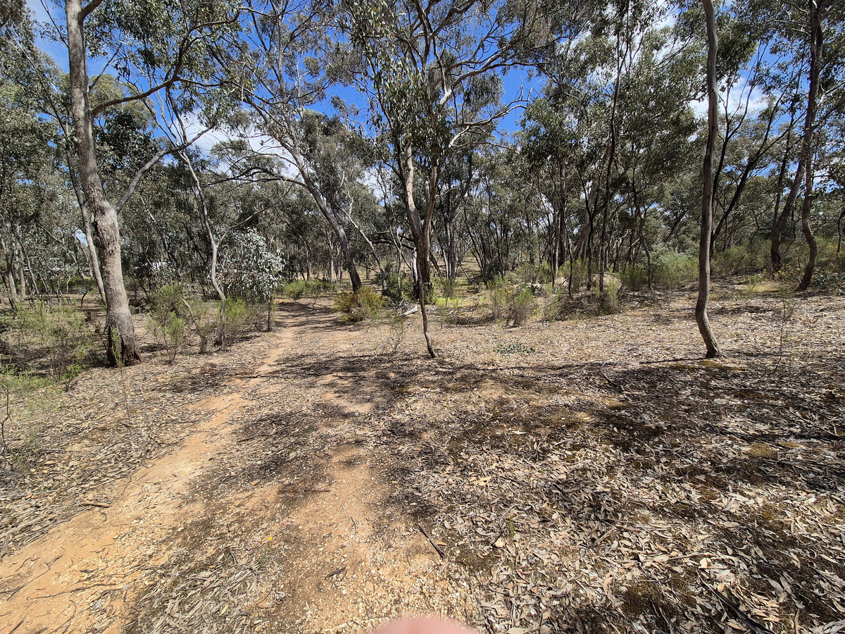 Lot 1 / 23 Monash Street, Newstead VIC 3462, Newstead - Thumbnail 4
