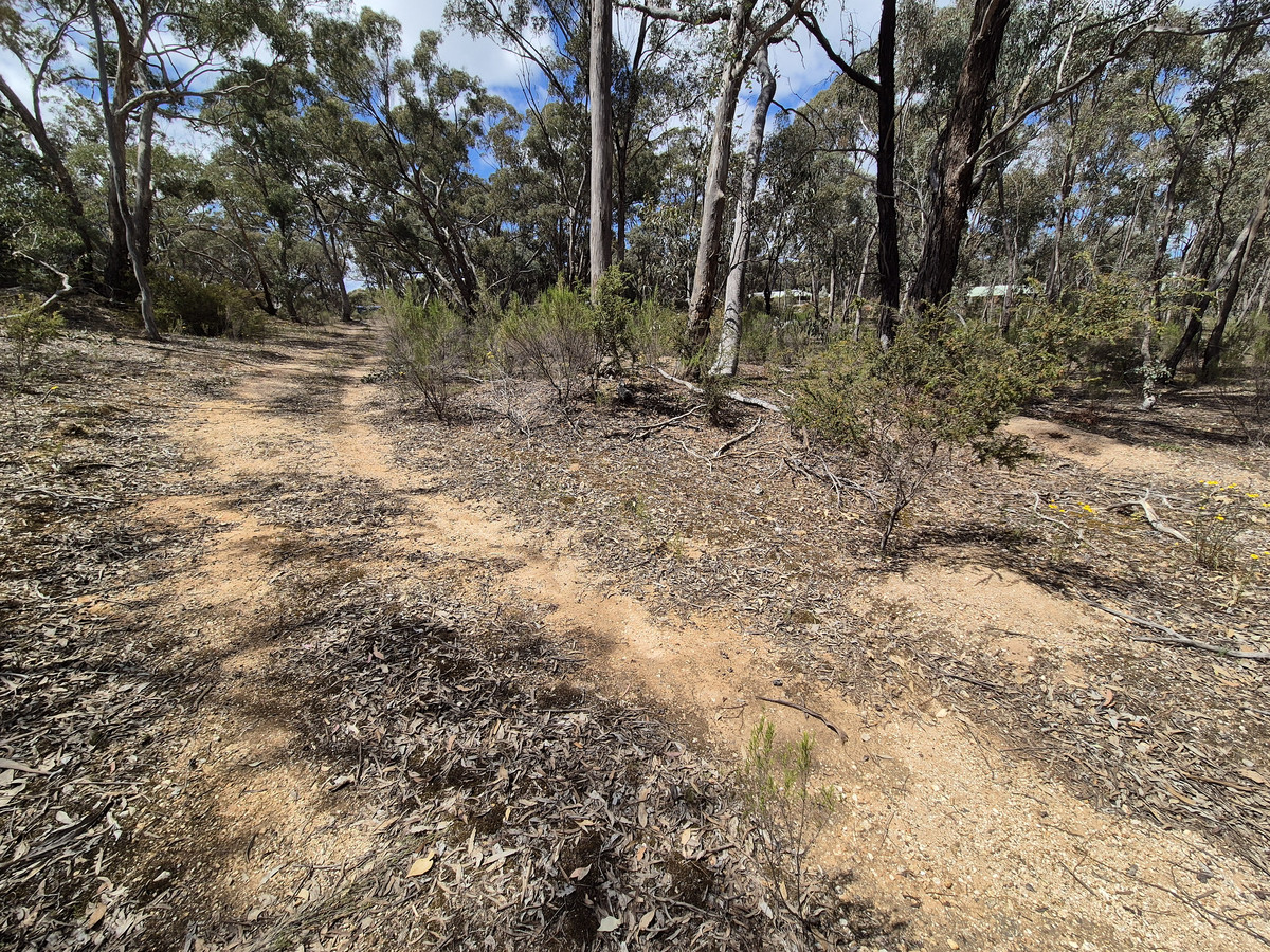 Lot 1 / 23 Monash Street, Newstead VIC 3462, Newstead - Thumbnail 7