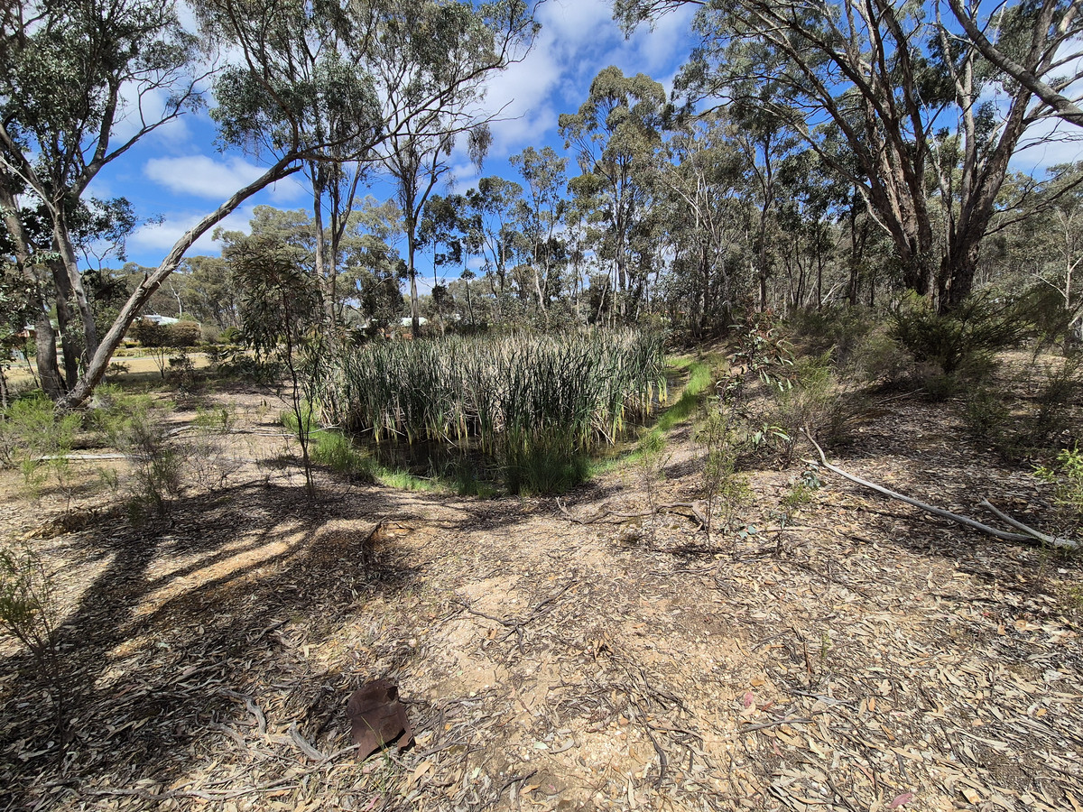 Lot 1 / 23 Monash Street, Newstead VIC 3462, Newstead - Thumbnail 2