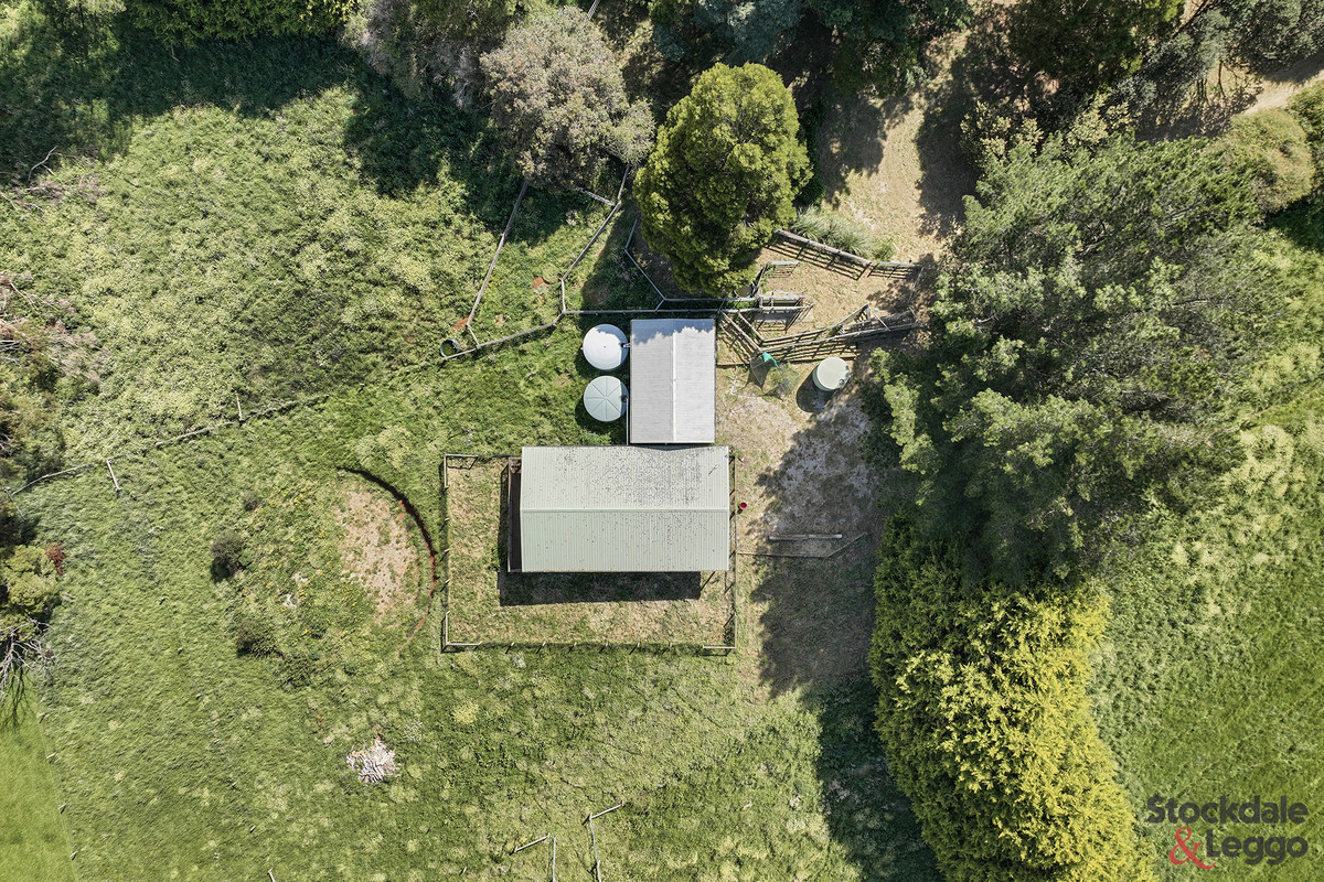 1260 Boolarra South - Mirboo North Road, MIRBOO NORTH VIC 3871, Mirboo North - Thumbnail 8