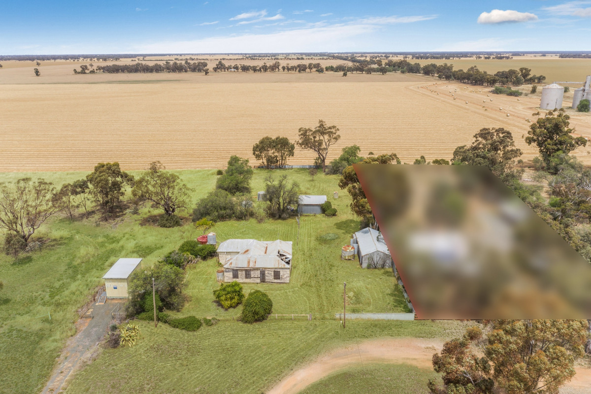 1667 Dingee Road, Diggora VIC 3561, Diggora - Image 1